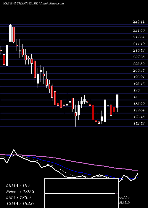  Daily chart Walchandnagar Industries