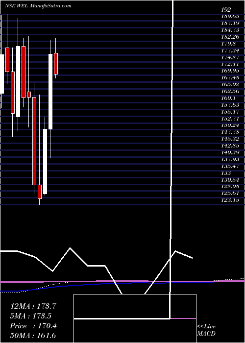  monthly chart WonderElectricals