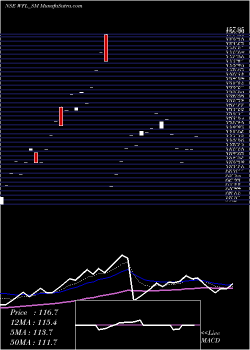  Daily chart WonderFibromats