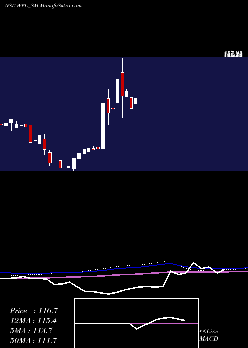  monthly chart WonderFibromats
