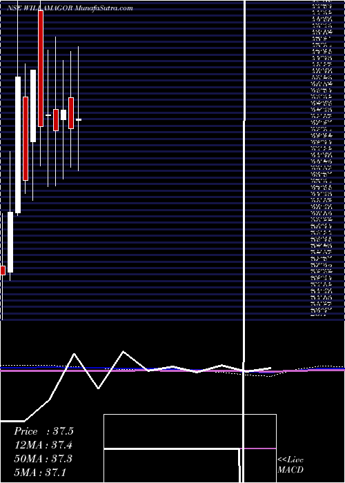  monthly chart WilliamsonMagor