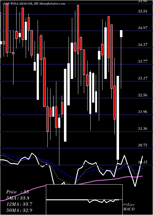  Daily chart WilliamsonMagor