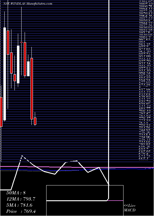  monthly chart WindlasBiotech