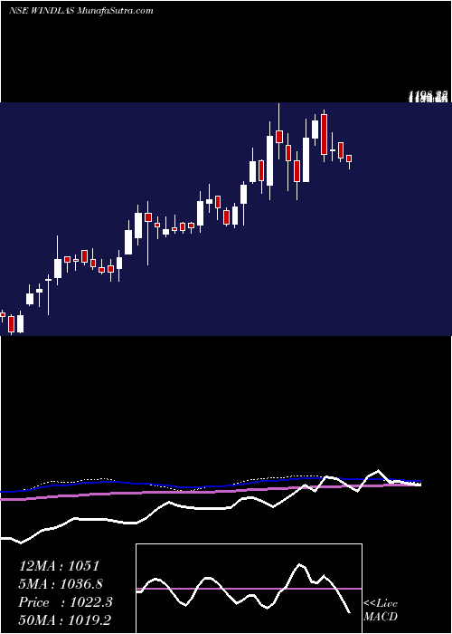  weekly chart WindlasBiotech