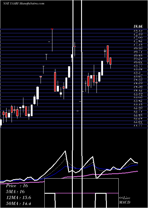  Daily chart Yaari Digi Int Ser Ltd