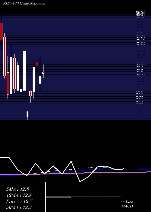  monthly chart YaariDigi