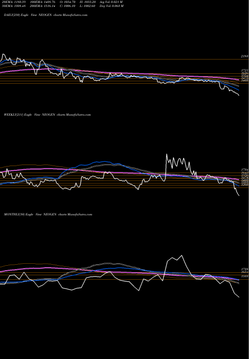 Trend of Neogen Chemicals NEOGEN TrendLines Neogen Chemicals Limited NEOGEN share NSE Stock Exchange 