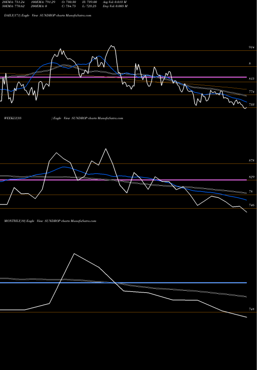 Trend of Sundrop Brands SUNDROP TrendLines Sundrop Brands Limited SUNDROP share NSE Stock Exchange 