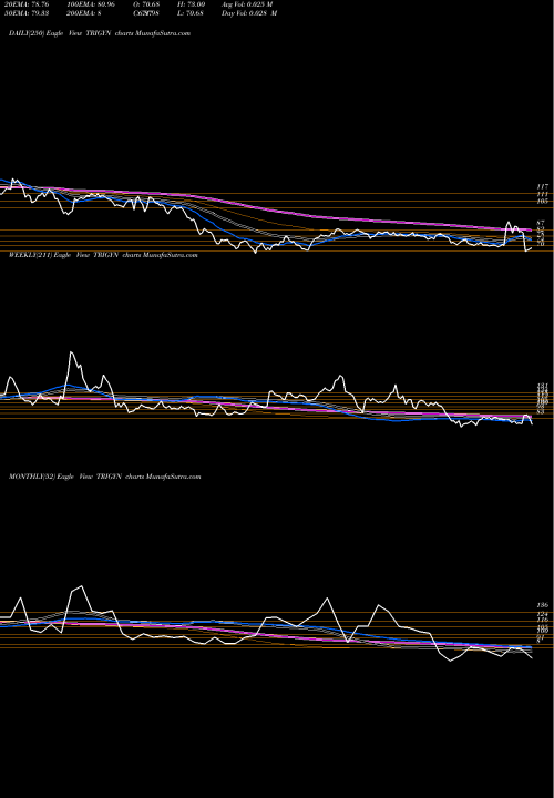 Trend of Trigyn Technologies TRIGYN TrendLines Trigyn Technologies Limited TRIGYN share NSE Stock Exchange 