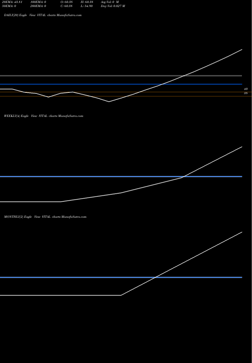 Trend of Vital Chemtech VITAL TrendLines Vital Chemtech Limited VITAL share NSE Stock Exchange 