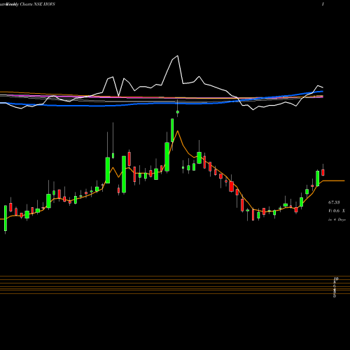 Weekly charts share HOVS HOV Services Limited NSE Stock exchange 