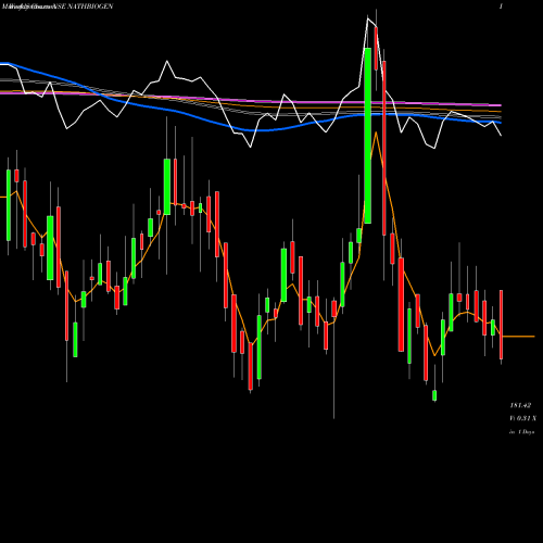 Weekly charts share NATHBIOGEN Nath Bio-Genes (India) Limited NSE Stock exchange 