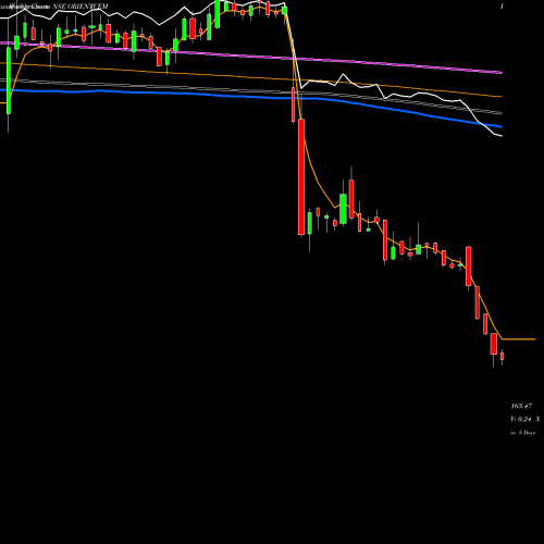 Weekly charts share ORIENTCEM Orient Cement Limited NSE Stock exchange 