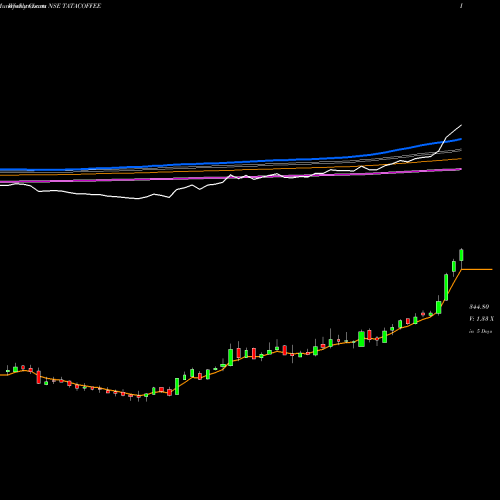 Weekly charts share TATACOFFEE Tata Coffee Limited NSE Stock exchange 