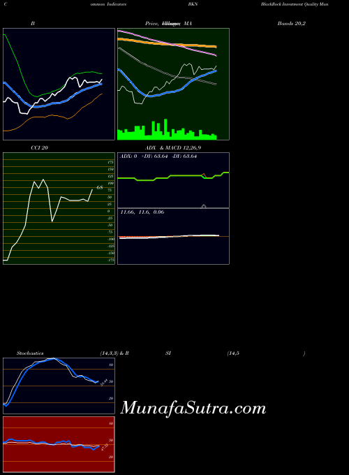 Blackrock Investment indicators chart 