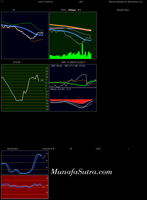Bluelinx Holdings indicators chart 