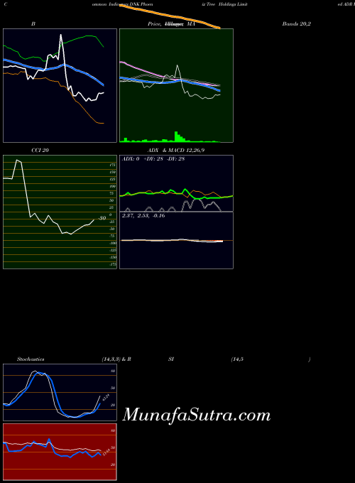 Phoenix Tree indicators chart 