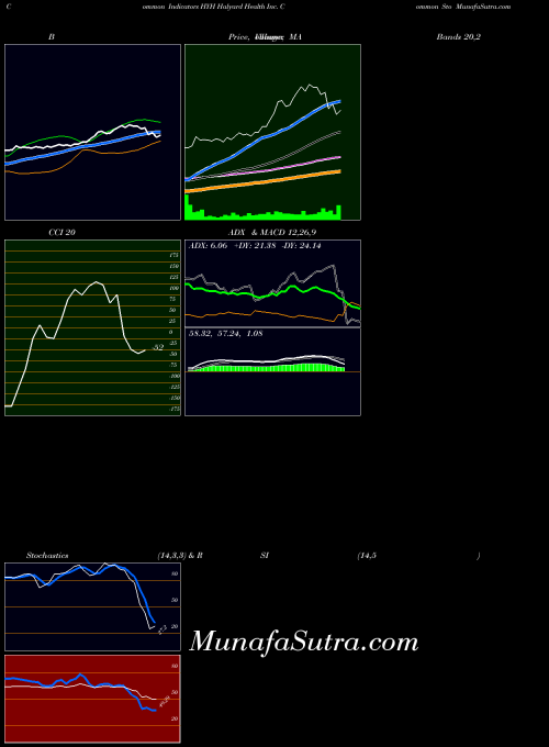 Halyard Health indicators chart 