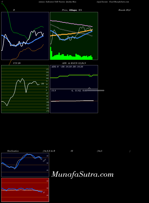 NYSE Nuveen Quality Municipal Income Fund NAD All indicator, Nuveen Quality Municipal Income Fund NAD indicators All technical analysis, Nuveen Quality Municipal Income Fund NAD indicators All free charts, Nuveen Quality Municipal Income Fund NAD indicators All historical values NYSE