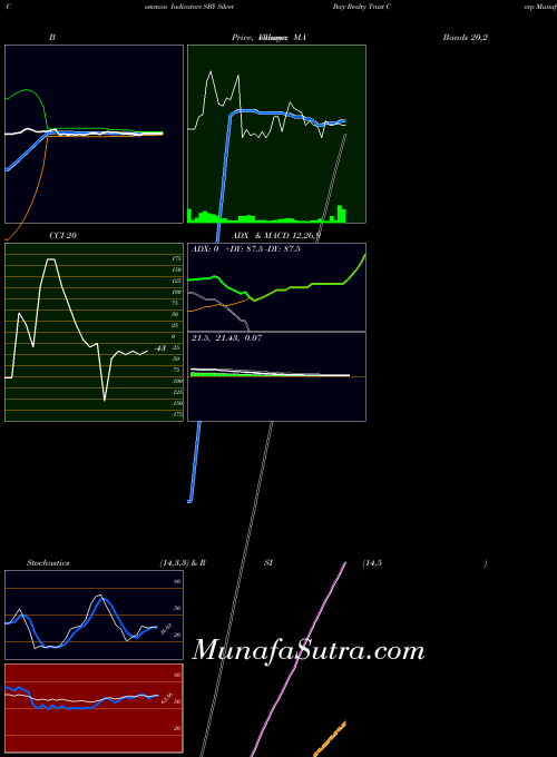 Silver Bay indicators chart 