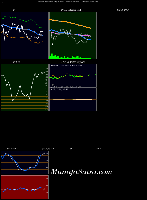 Turkcell Iletisim indicators chart 