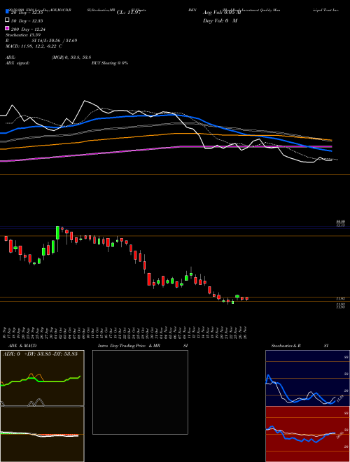 BlackRock Investment Quality Municipal Trust Inc. (The) BKN Support Resistance charts BlackRock Investment Quality Municipal Trust Inc. (The) BKN NYSE