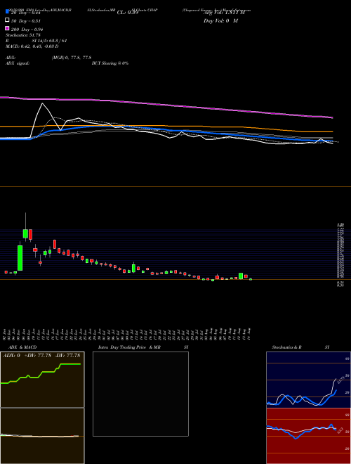 Chaparral Energy, Inc. CHAP Support Resistance charts Chaparral Energy, Inc. CHAP NYSE