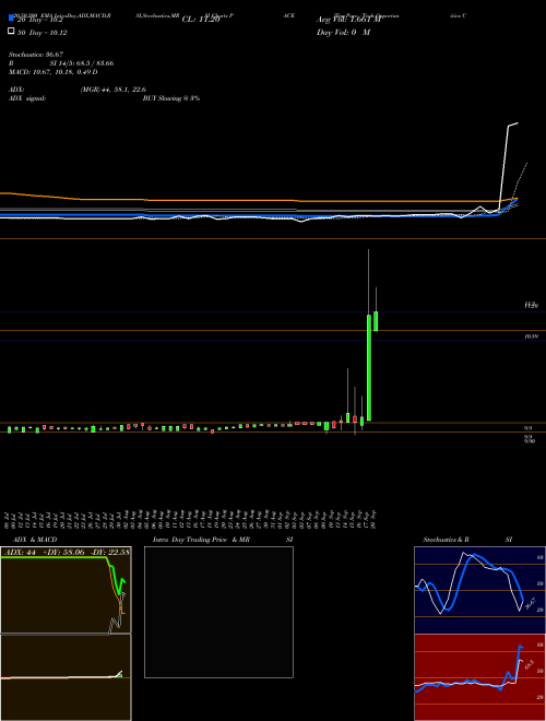 Tpg Pace Tech Opportunities Corp Cl A PACE Support Resistance charts Tpg Pace Tech Opportunities Corp Cl A PACE NYSE