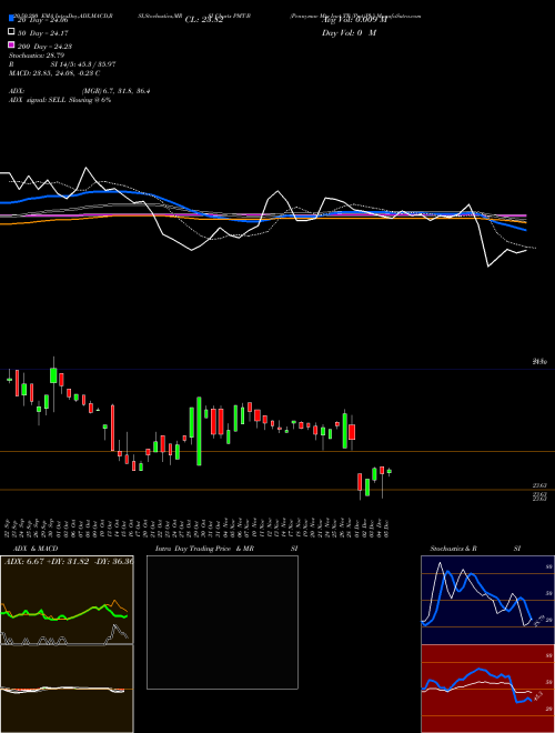 Pennymac Mtg Invt TR [Pmt/Pb] PMT-B Support Resistance charts Pennymac Mtg Invt TR [Pmt/Pb] PMT-B NYSE