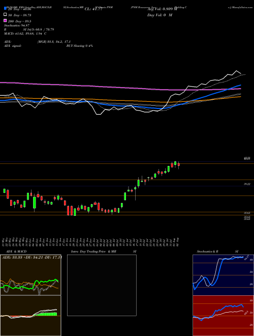PNM Resources, Inc. (Holding Co.) PNM Support Resistance charts PNM Resources, Inc. (Holding Co.) PNM NYSE