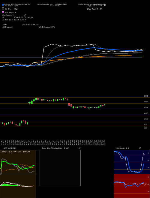 Ruckus Wireless Inc RKUS Support Resistance charts Ruckus Wireless Inc RKUS NYSE