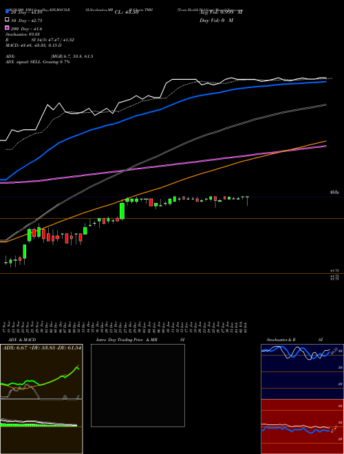 Team Health Holdings TMH Support Resistance charts Team Health Holdings TMH NYSE