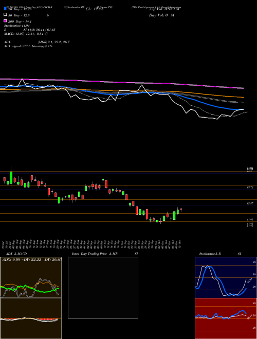 TIM Participacoes S.A. TSU Support Resistance charts TIM Participacoes S.A. TSU NYSE