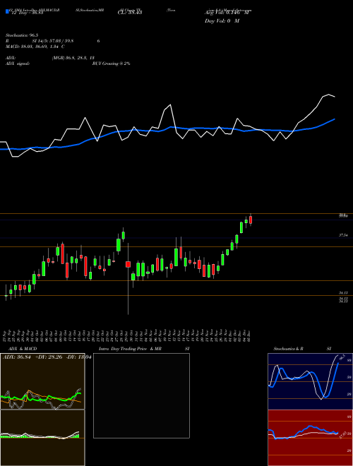 Chart Ternium S (TX)  Technical (Analysis) Reports Ternium S [