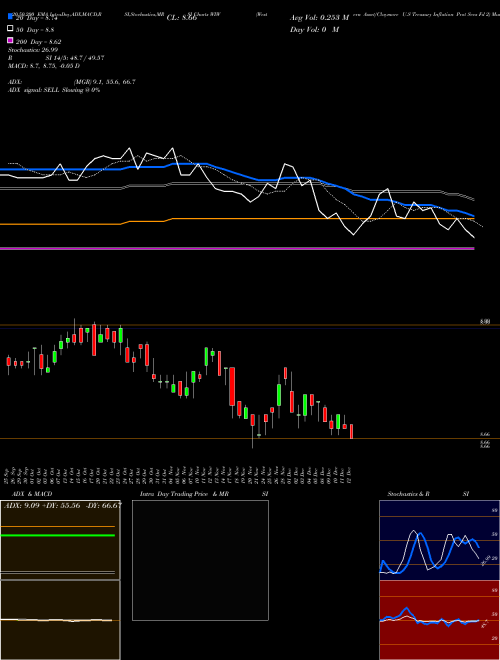 Western Asset/Claymore U.S Treasury Inflation Prot Secs Fd 2 WIW Support Resistance charts Western Asset/Claymore U.S Treasury Inflation Prot Secs Fd 2 WIW NYSE