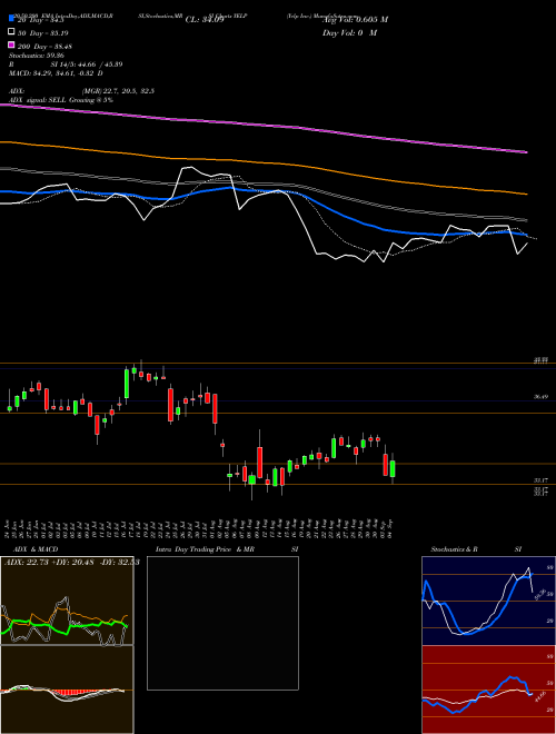 Yelp Inc. YELP Support Resistance charts Yelp Inc. YELP NYSE