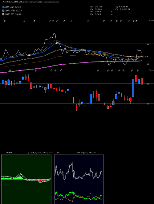 Munafa Anthem Inc (ANTX) stock tips, volume analysis, indicator analysis [intraday, positional] for today and tomorrow