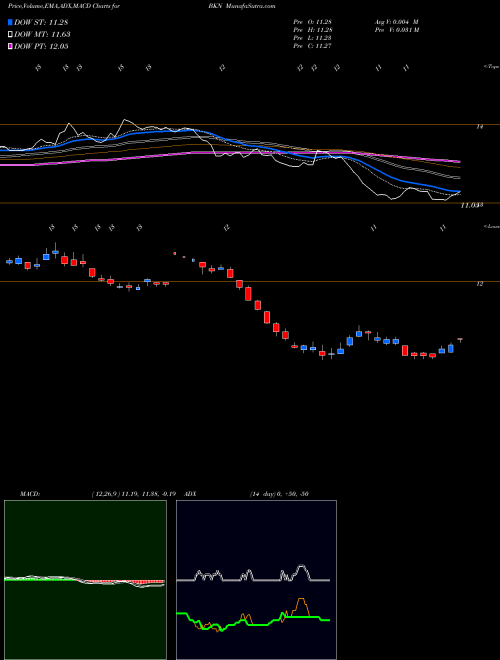 Munafa BlackRock Investment Quality Municipal Trust Inc. (The) (BKN) stock tips, volume analysis, indicator analysis [intraday, positional] for today and tomorrow