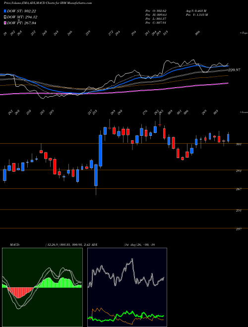 Munafa International Business Machines Corporation (IBM) stock tips, volume analysis, indicator analysis [intraday, positional] for today and tomorrow
