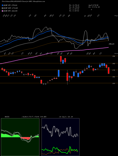 Munafa Oracle Corporation (ORCL) stock tips, volume analysis, indicator analysis [intraday, positional] for today and tomorrow