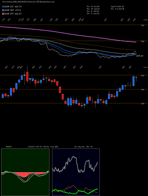Munafa Constellation Brands Inc (STZ) stock tips, volume analysis, indicator analysis [intraday, positional] for today and tomorrow