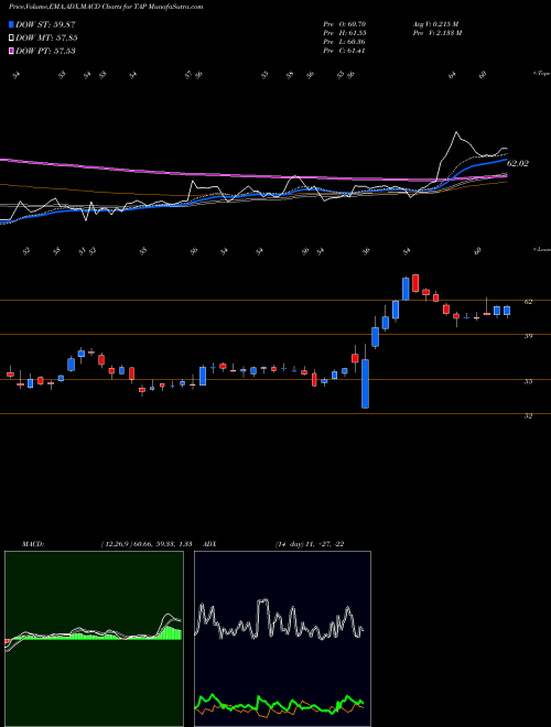 Munafa Molson Coors Brewing  Company (TAP) stock tips, volume analysis, indicator analysis [intraday, positional] for today and tomorrow