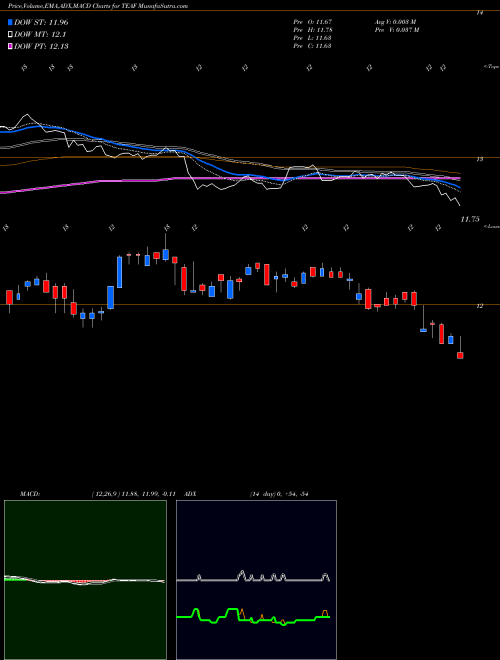 Munafa Tortoise Essential Assets Income Term Fund (TEAF) stock tips, volume analysis, indicator analysis [intraday, positional] for today and tomorrow