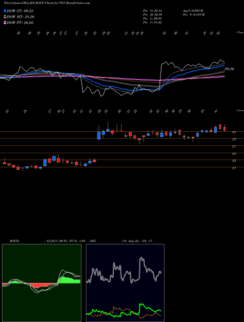 Munafa Transportadora De Gas Sa Ord B (TGS) stock tips, volume analysis, indicator analysis [intraday, positional] for today and tomorrow