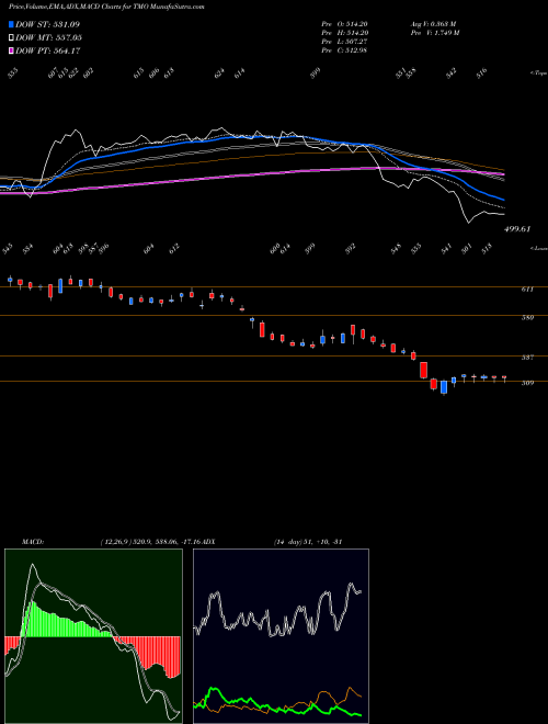 MACD charts various settings share TMO Thermo Fisher Scientific Inc NYSE Stock exchange 