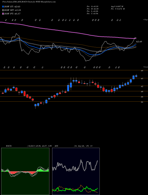 Munafa Cactus, Inc. (WHD) stock tips, volume analysis, indicator analysis [intraday, positional] for today and tomorrow