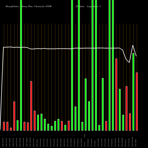 Money Flow charts share SNPR Tortoise Acquisition Corp. II Cl A NYSE Stock exchange 