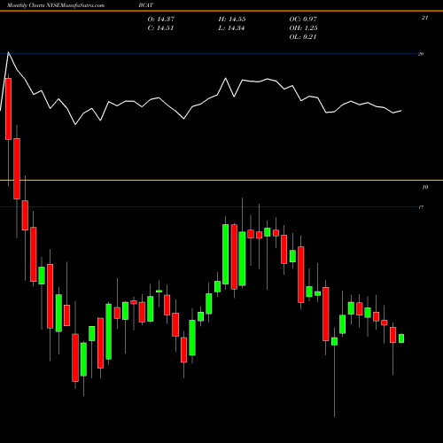 Monthly charts share BCAT Blackrock Capital Allocation Trust NYSE Stock exchange 