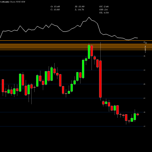 Monthly charts share SEM Select Medical Holdings Corporation NYSE Stock exchange 