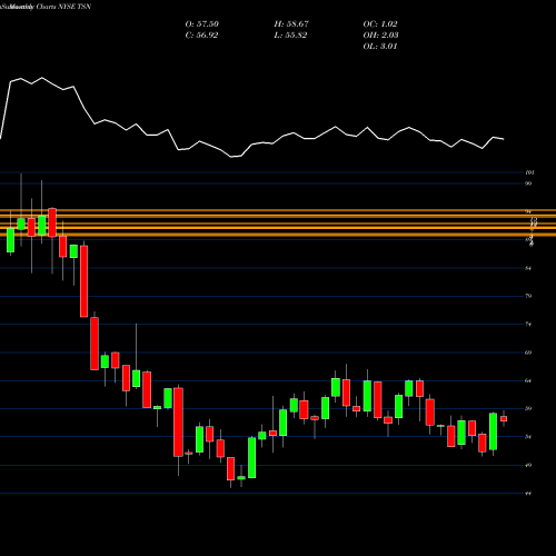 Monthly charts share TSN Tyson Foods, Inc. NYSE Stock exchange 